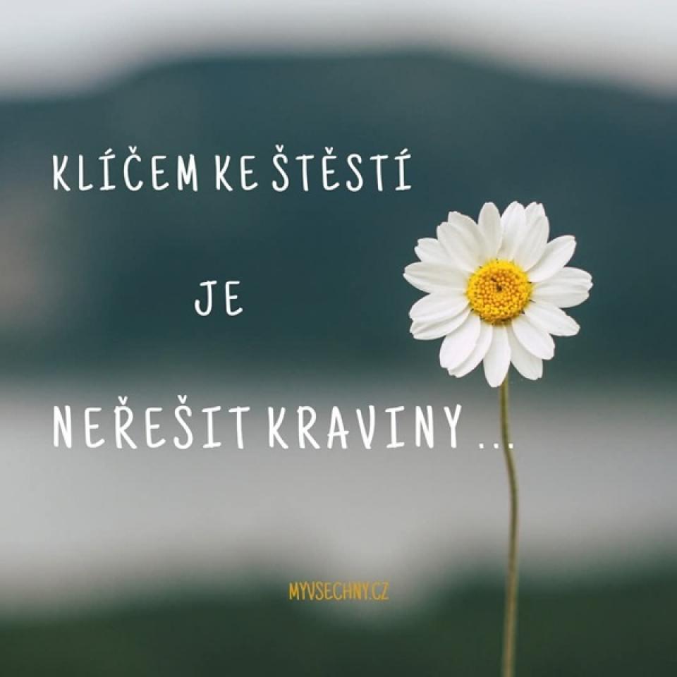 Oblíbené citáty a nejkrásnější filmové hlášky.