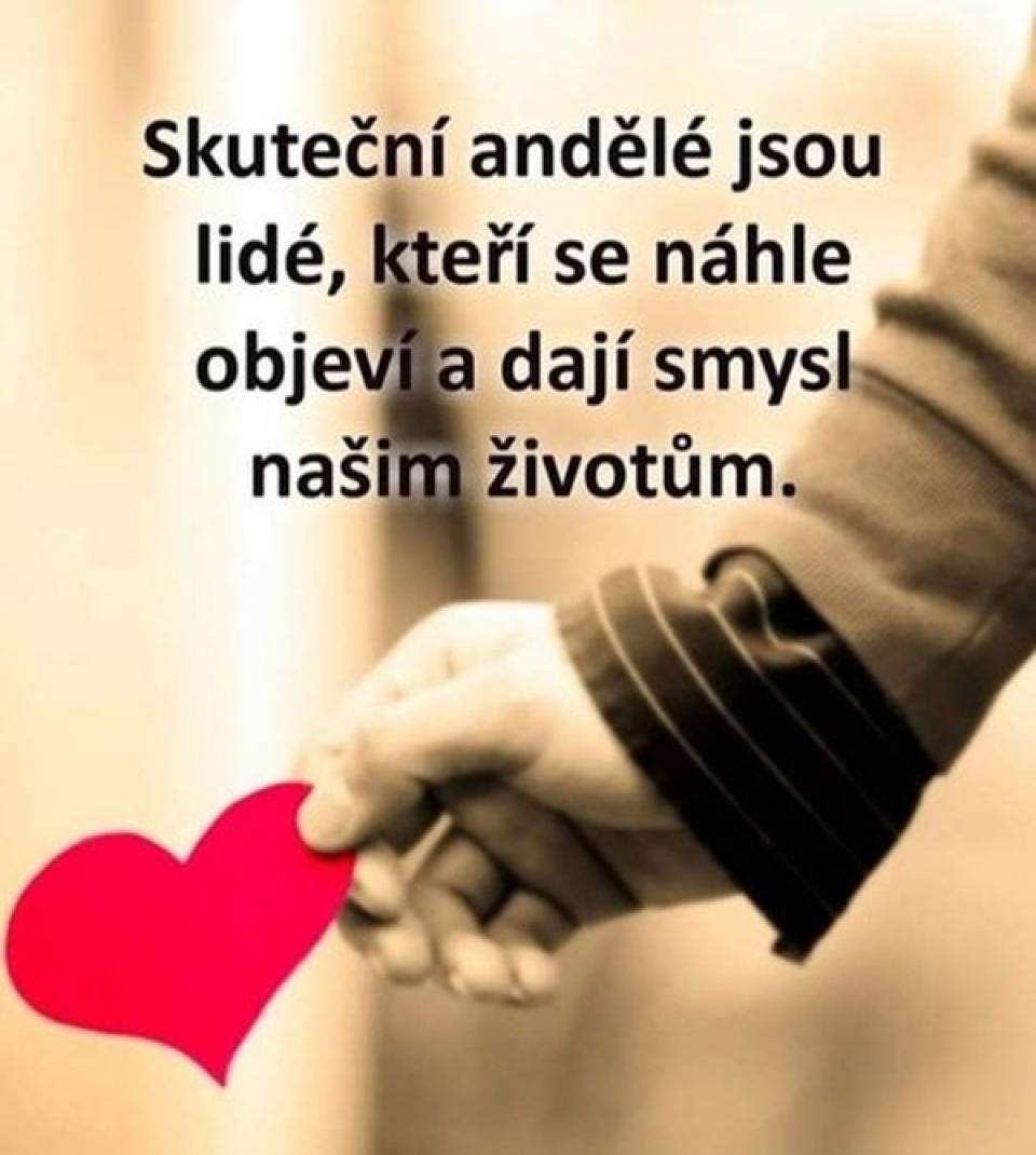 Oblíbené citáty a nejkrásnější filmové hlášky.