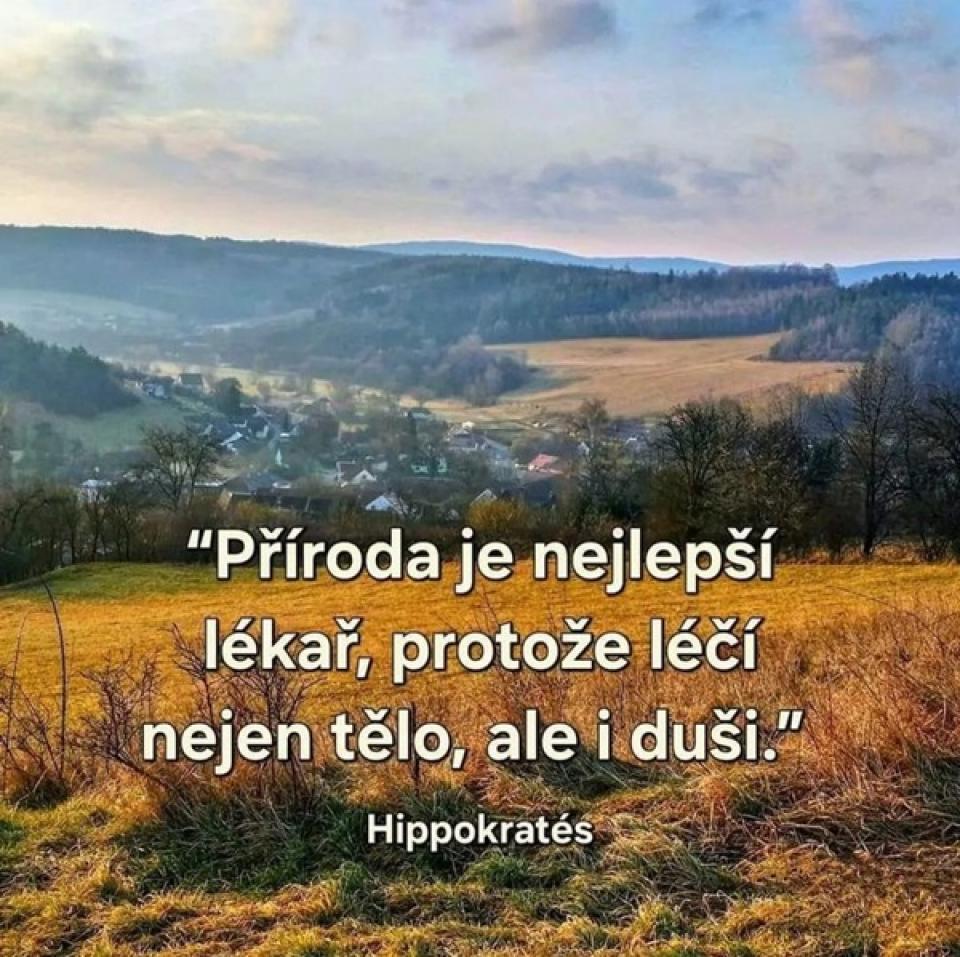 Oblíbené citáty a nejkrásnější filmové hlášky.