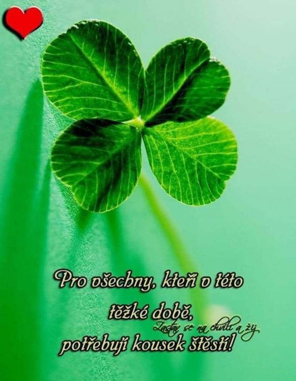 Oblíbené citáty a nejkrásnější filmové hlášky.