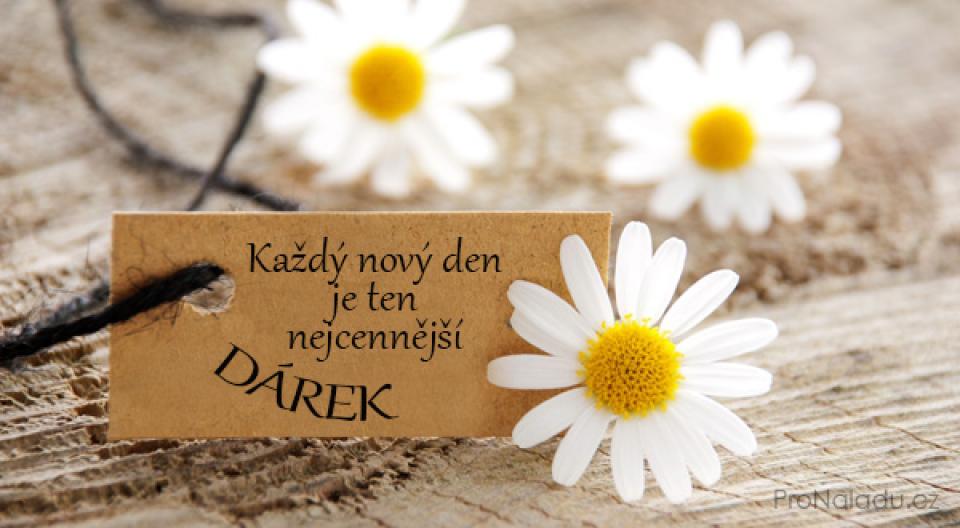 Oblíbené citáty a nejkrásnější filmové hlášky.