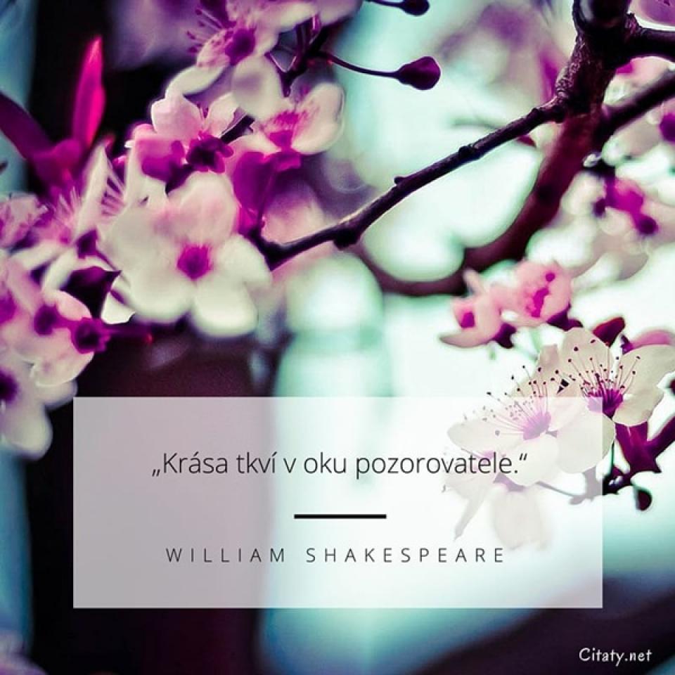 Oblíbené citáty a nejkrásnější filmové hlášky.