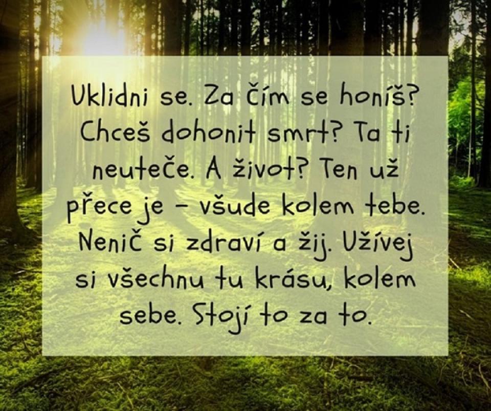 Oblíbené citáty a nejkrásnější filmové hlášky.