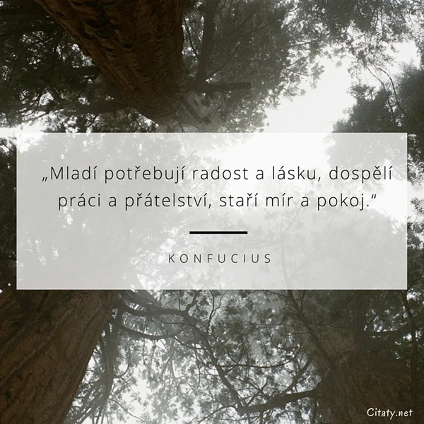 Oblíbené citáty a nejkrásnější filmové hlášky.