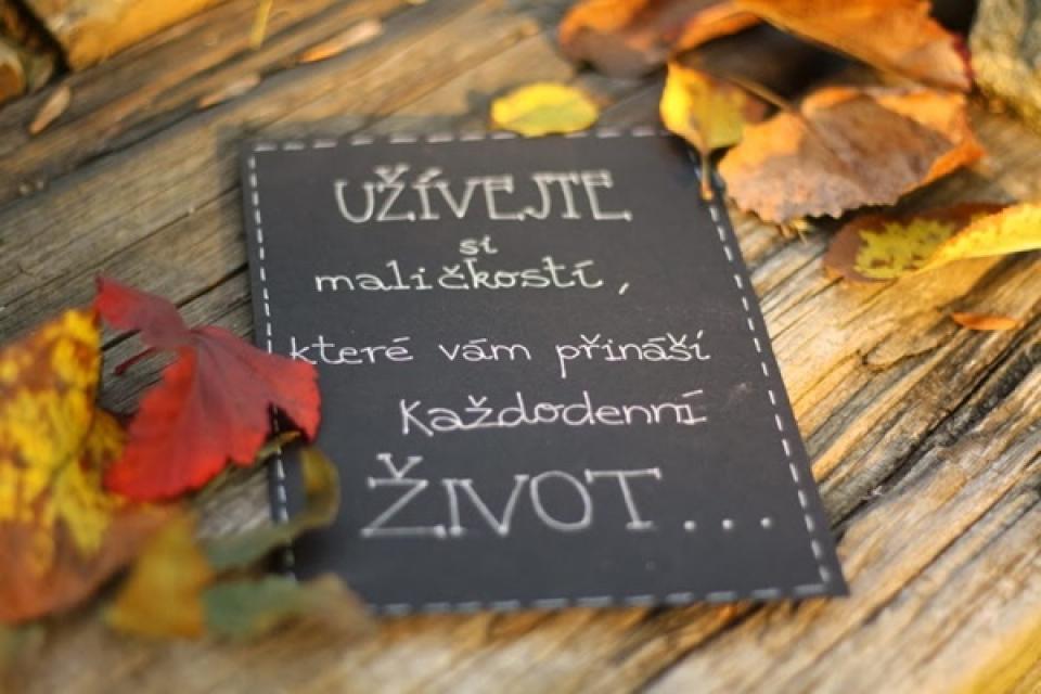 Oblíbené citáty a nejkrásnější filmové hlášky.