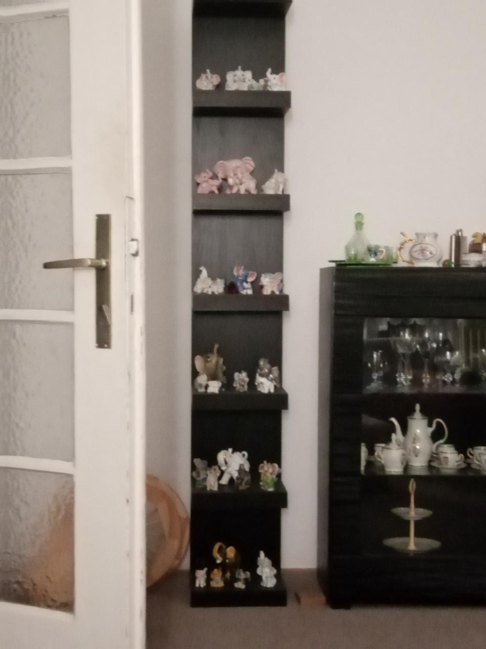 čtvrtý koníček