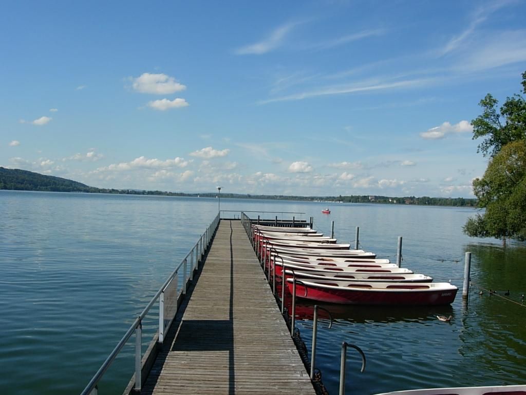 Veřejné