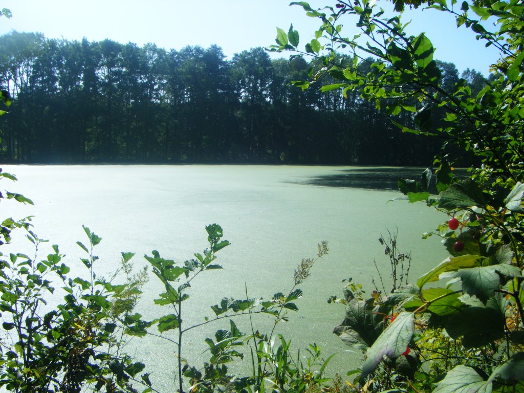 Výlet:.babí léto. 2011