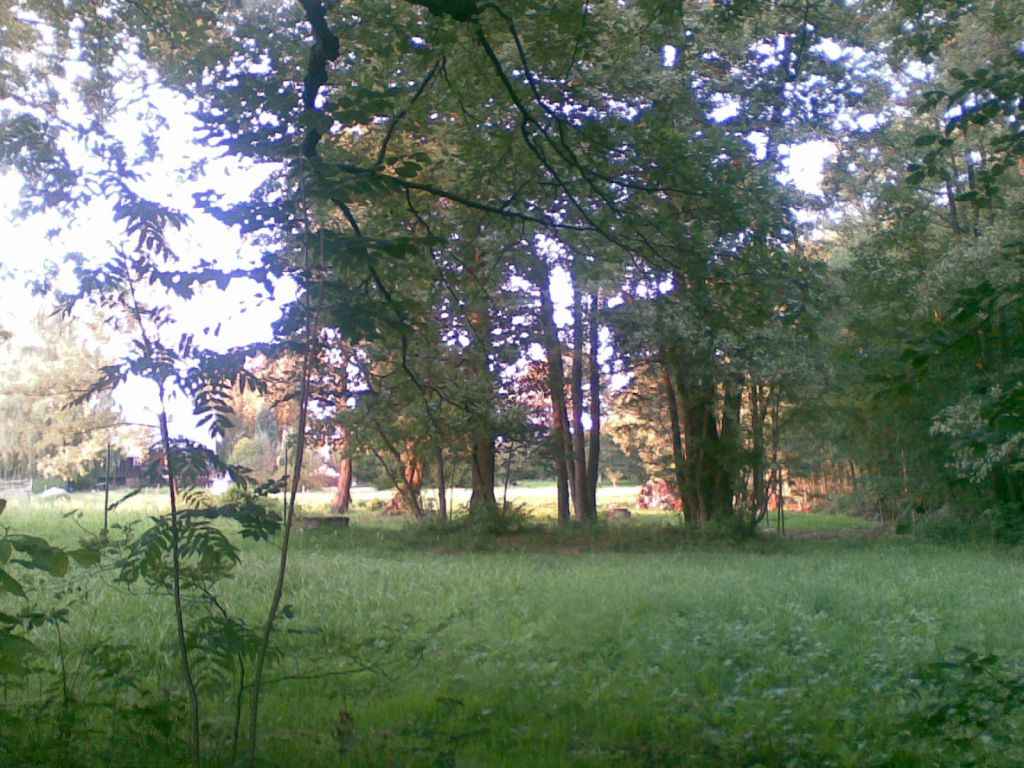 Veřejné