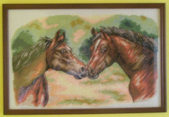 MŮJ NEJVĚTŠÍ KONÍČEK