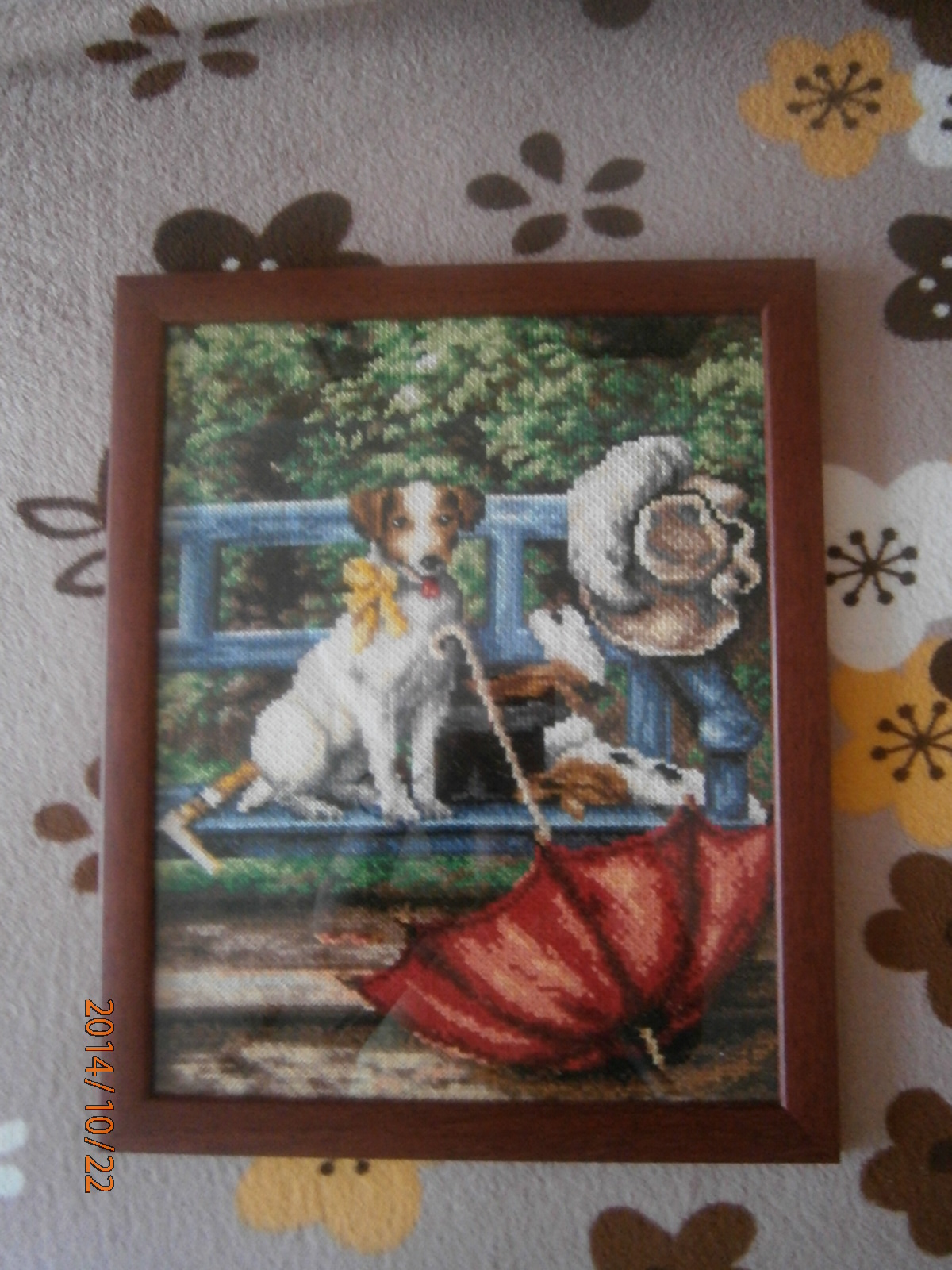 MŮJ NEJVĚTŠÍ KONÍČEK