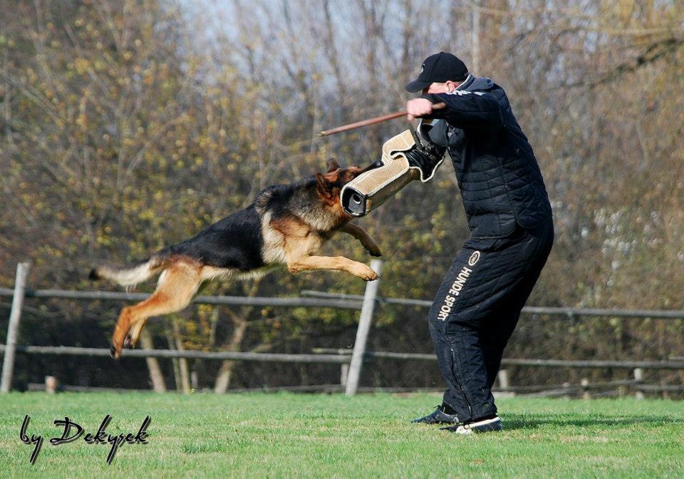 Ovenn z Krupičkova mlýna n