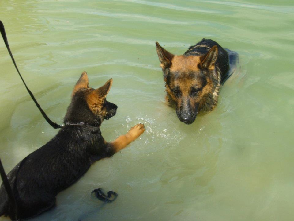 Ovenn z Krupičkova mlýna n