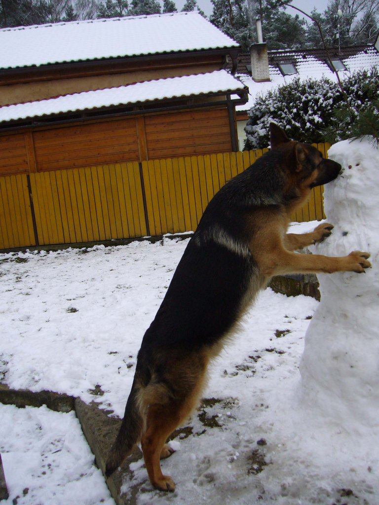 Ovenn z Krupičkova mlýna n