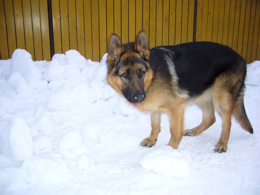 Ovenn z Krupičkova mlýna n