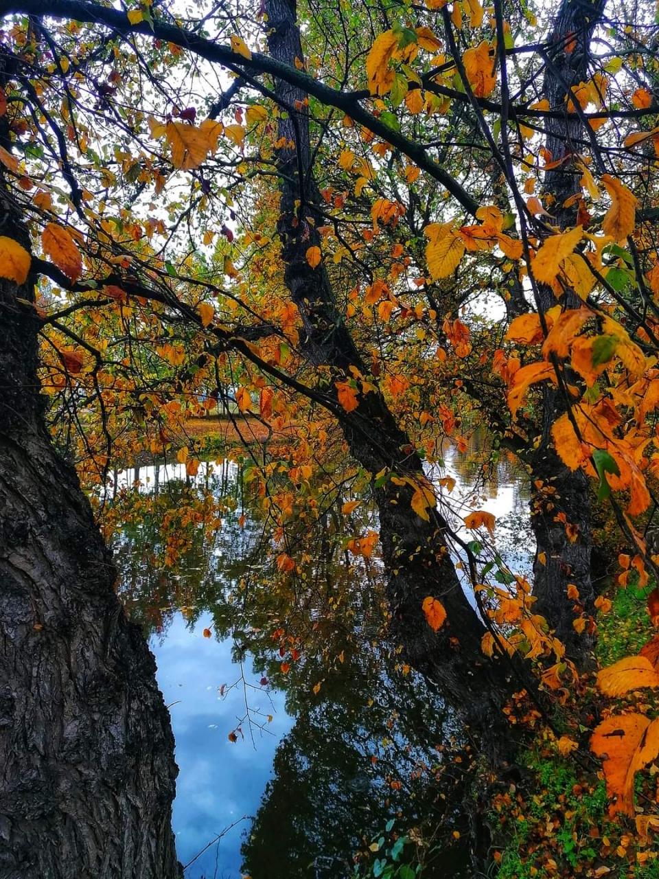 Lovy s čočkou