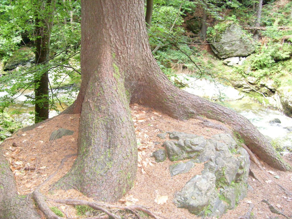 Veřejné
