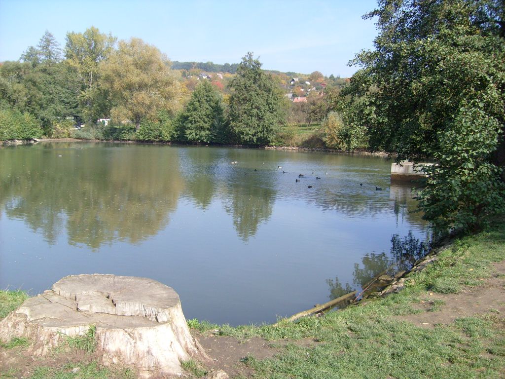 Veřejné