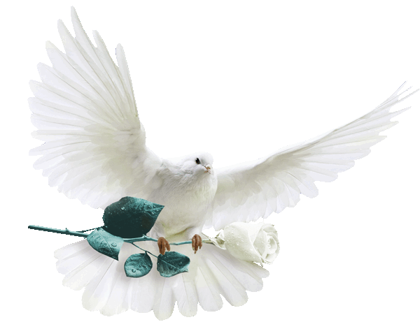 ⚡ ☼ MEZ ☁ I NEBEM a ZEMÍ ☼ ⚡