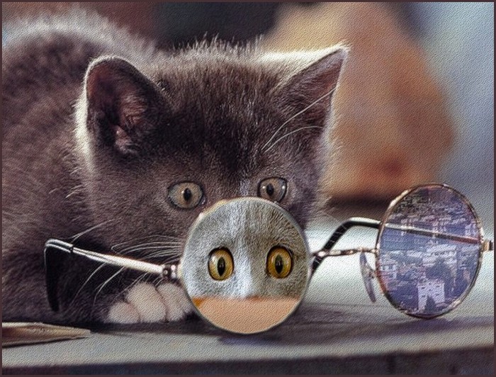 ℒℴvℯ ZVÍŘÁTKA 【ツ】  ㄚ♡ⓤ