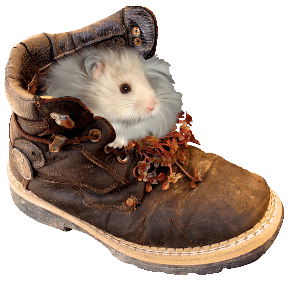 ℒℴvℯ ZVÍŘÁTKA 【ツ】  ㄚ♡ⓤ