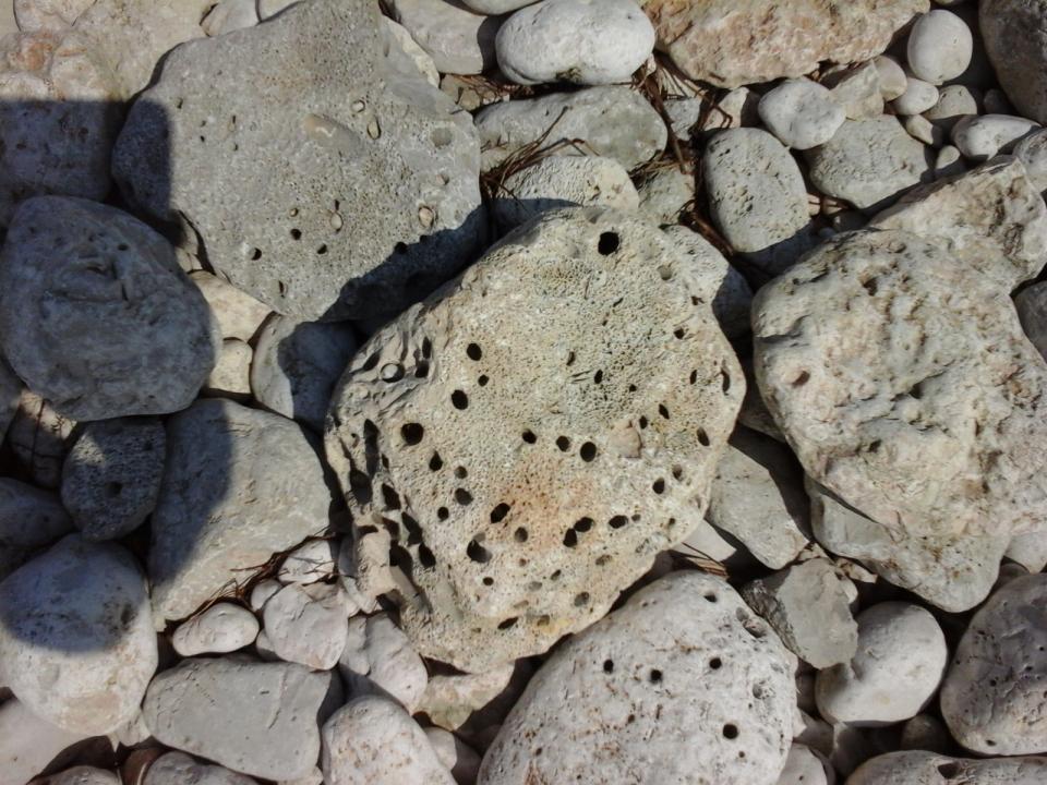 kamínky v národním parku Brioni