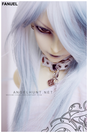 BJD  Nicolas