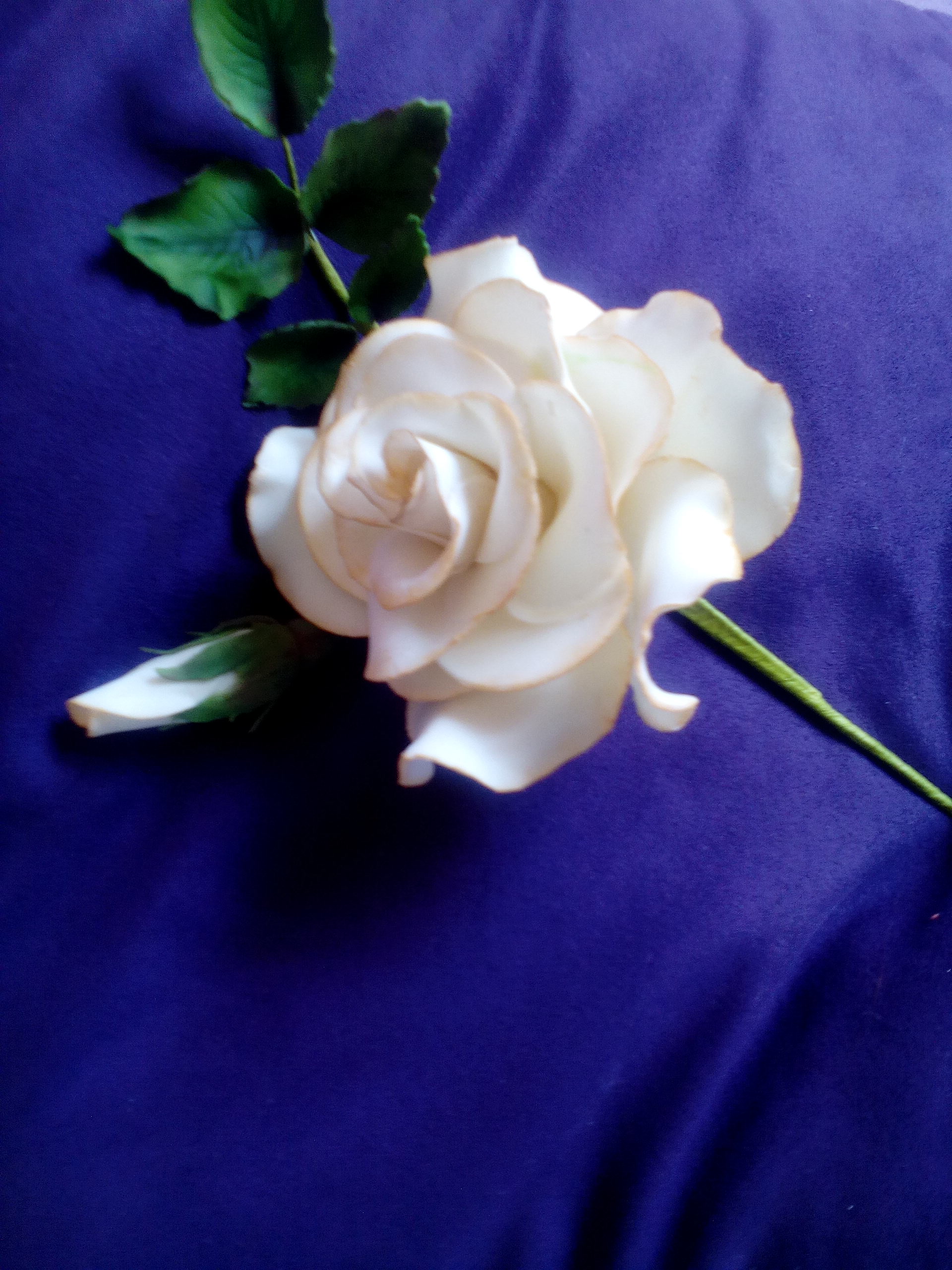 Drátkovaná růže z marcipánu