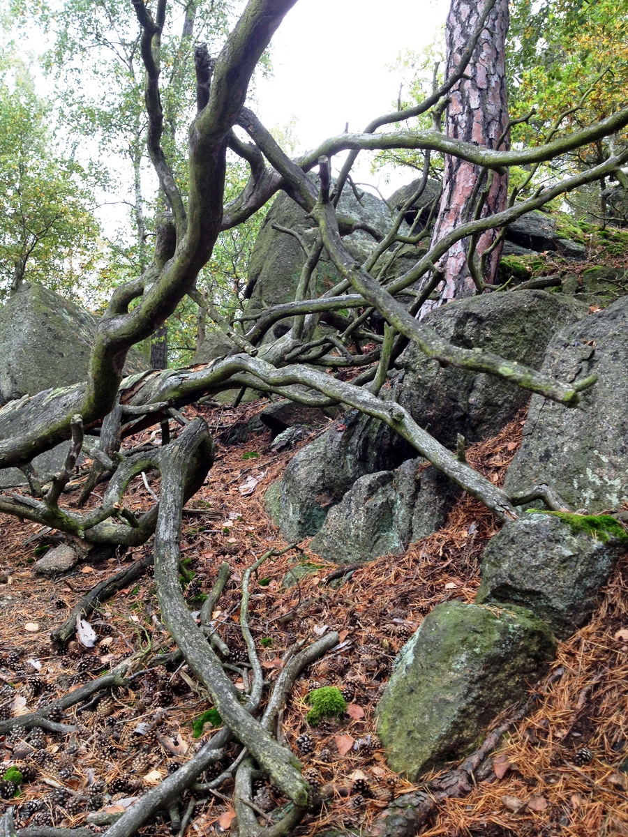 Fotosoutěž - 5 elementů