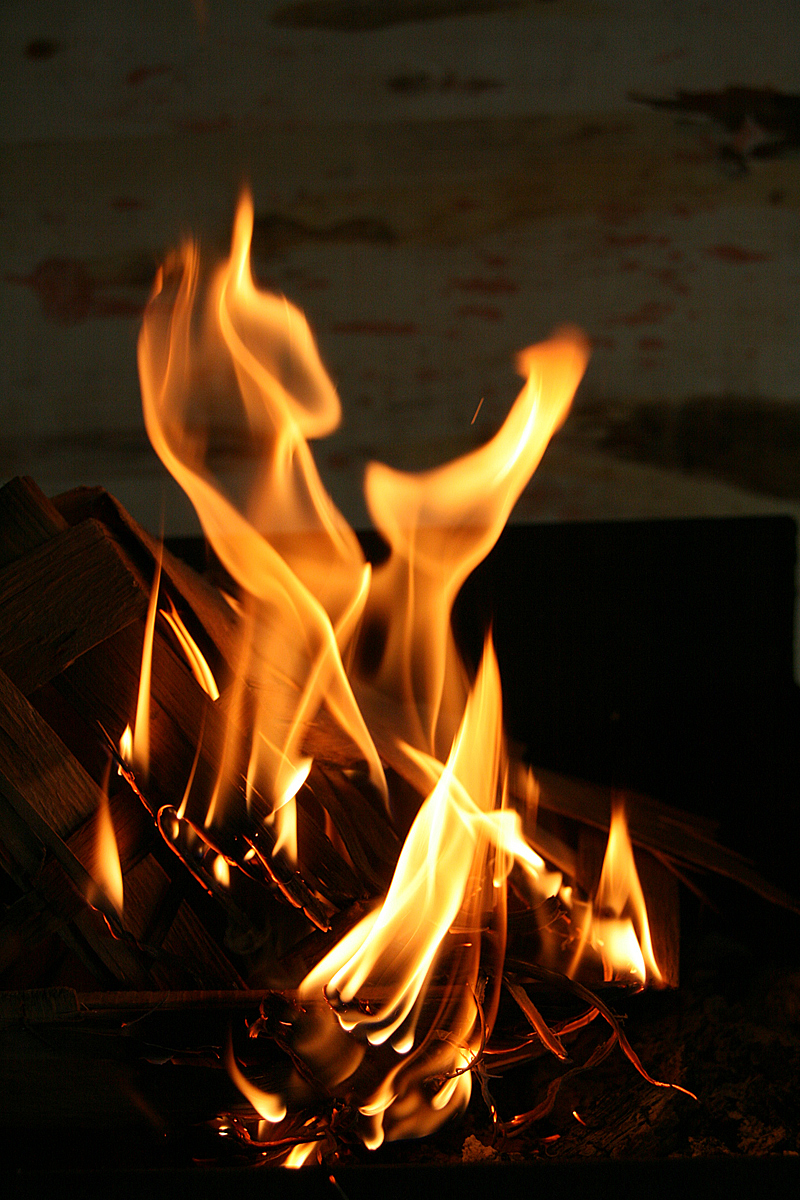 Fotosoutěž - 5 elementů