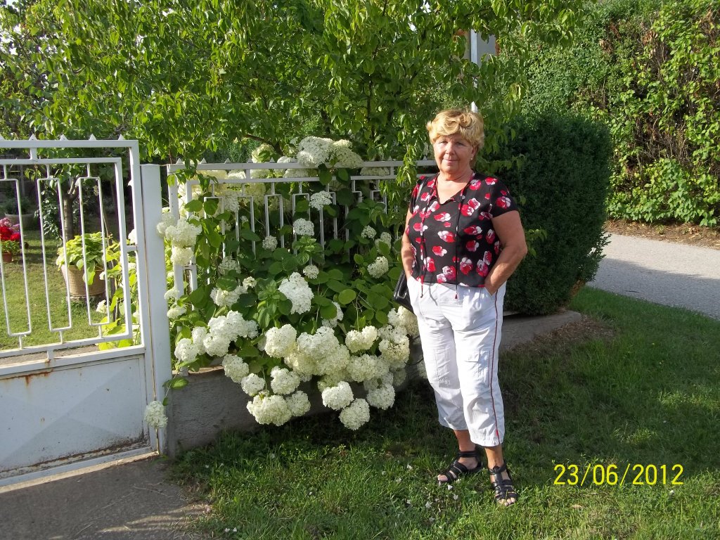 PODHAJSKÁ 2012