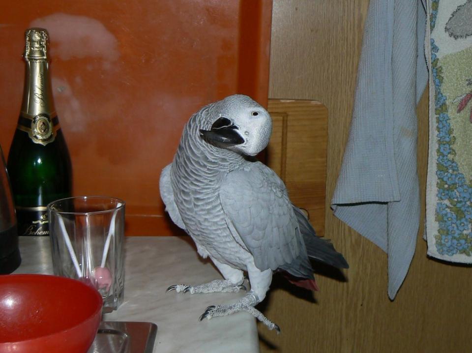 pro zasmání i zamyšlení