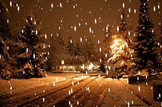 Štěstí a radost ať Tobě přinese vánoční sen. Přání mé najdeš na vločce sněhu, zachyť jí na ruku na Štědrý den. Přeji šťastné a veselé vánoce s láskou Vráťa..♥