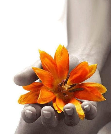 Každý den je hezký a něčím vyjímečný dnešní pak dvojnásob, i květina se rozbuší v rytmu srdce, když je v dobrých rukou. Proto si tento den užij s láskou a sluncem v duši Vráťa