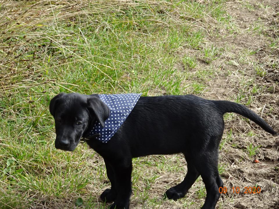 Charlie