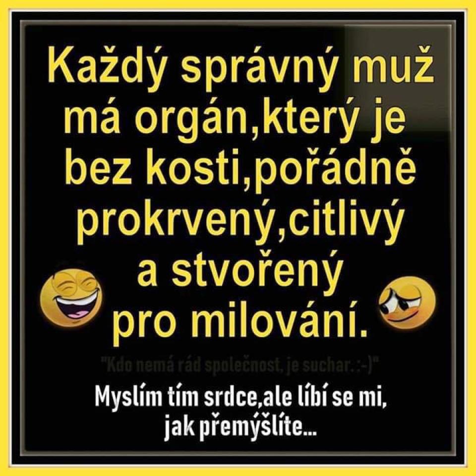 ZASLANÉ FOTKY