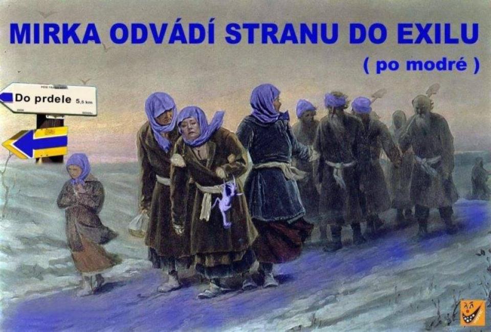 ZASLANÉ FOTKY