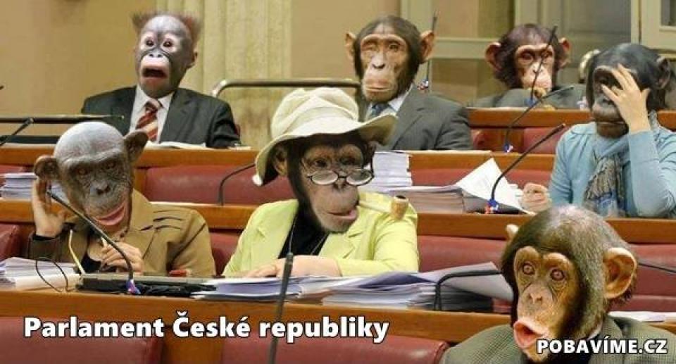 ZASLANÉ FOTKY
