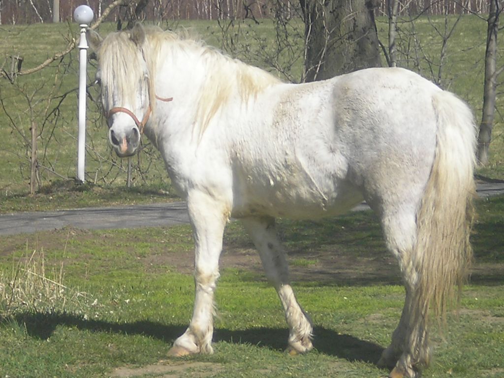 Veřejné