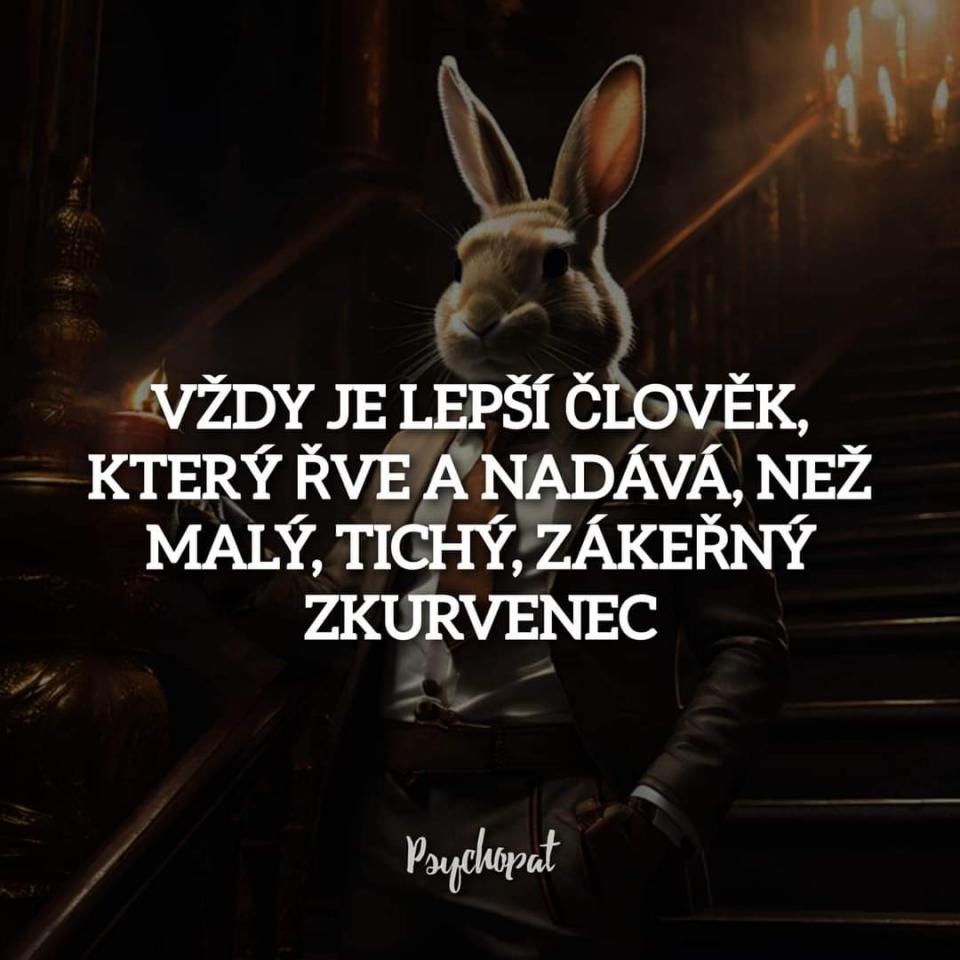 Celý voříšek Strakoš