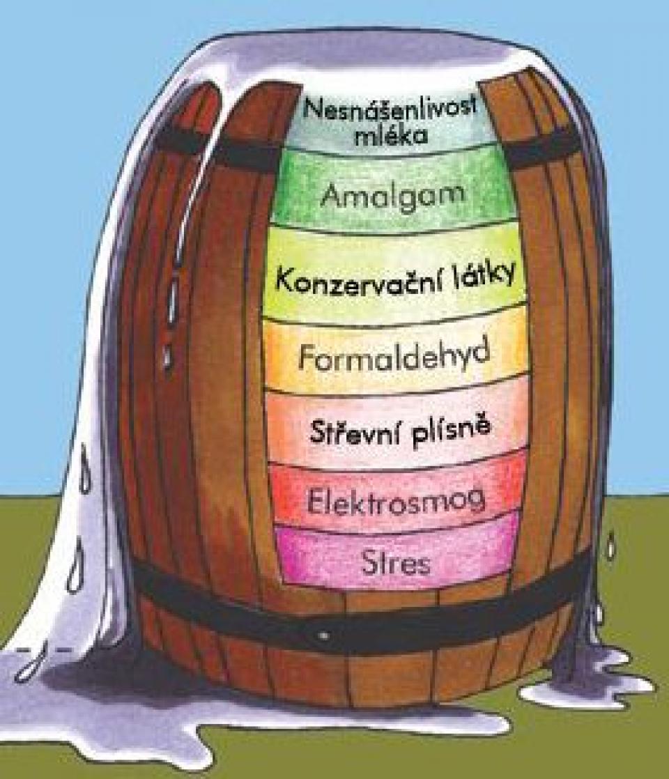 zdravý životní styl