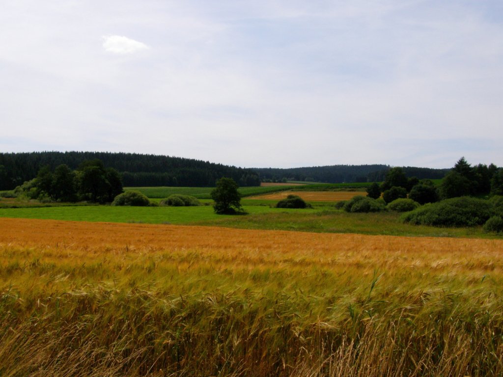 toulky