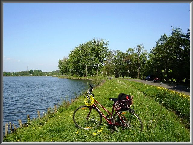 Zámec.rybník Mlynczok -moje kolo