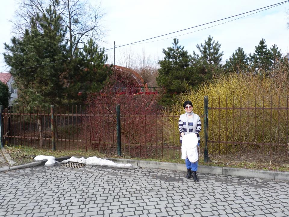 Výlet po blízkém okolí