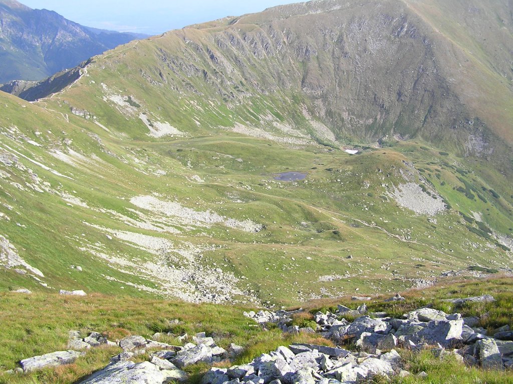 Příroda