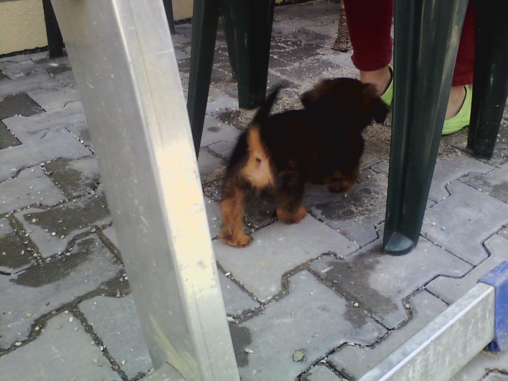 Nový přírustek Maxík