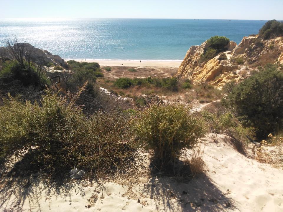 ZIVOT U ATLANTIKU ~ south Andaluzia