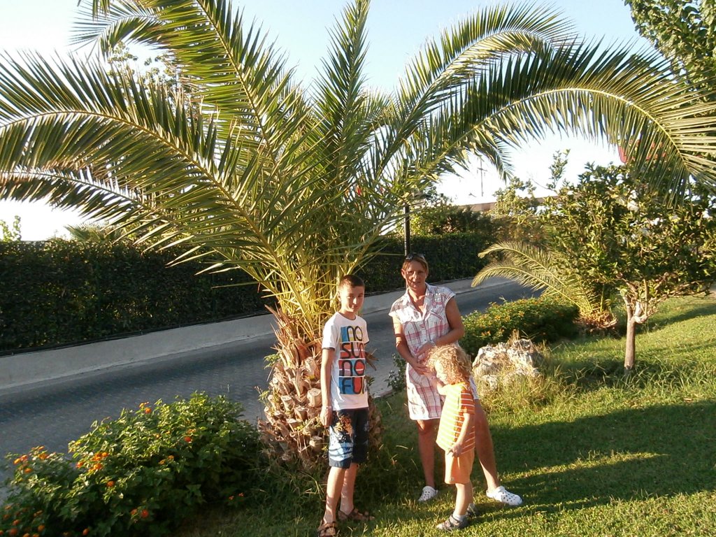 Veřejné