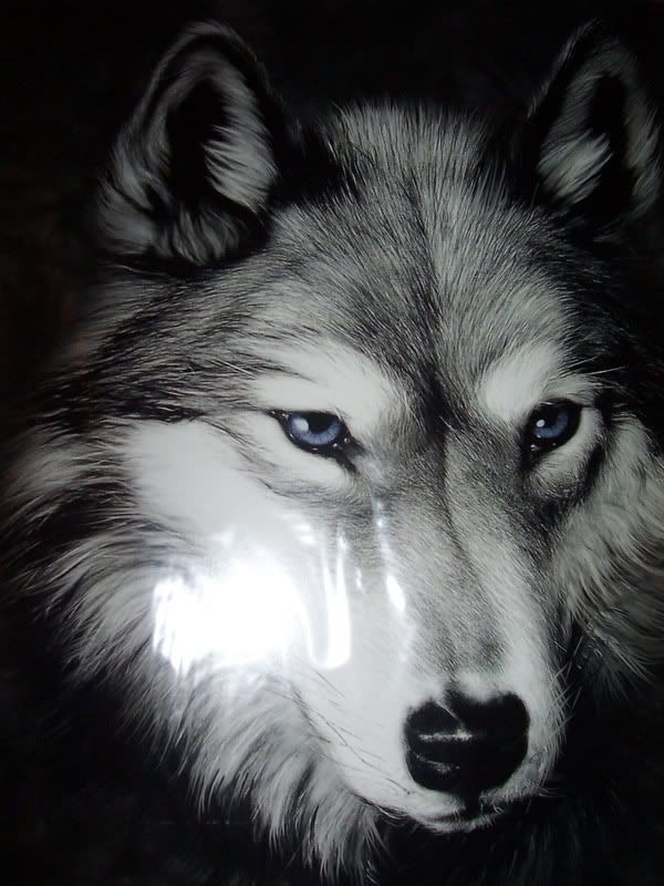  ..vlk...:))
