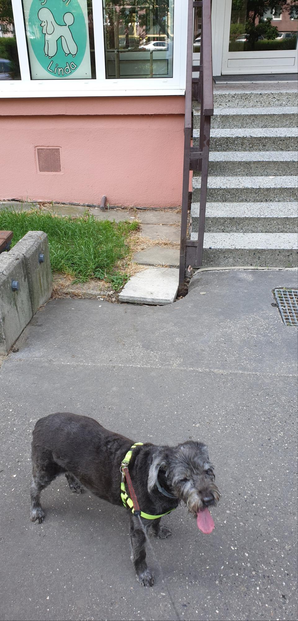 Můj miláček, 12 letá Barunka